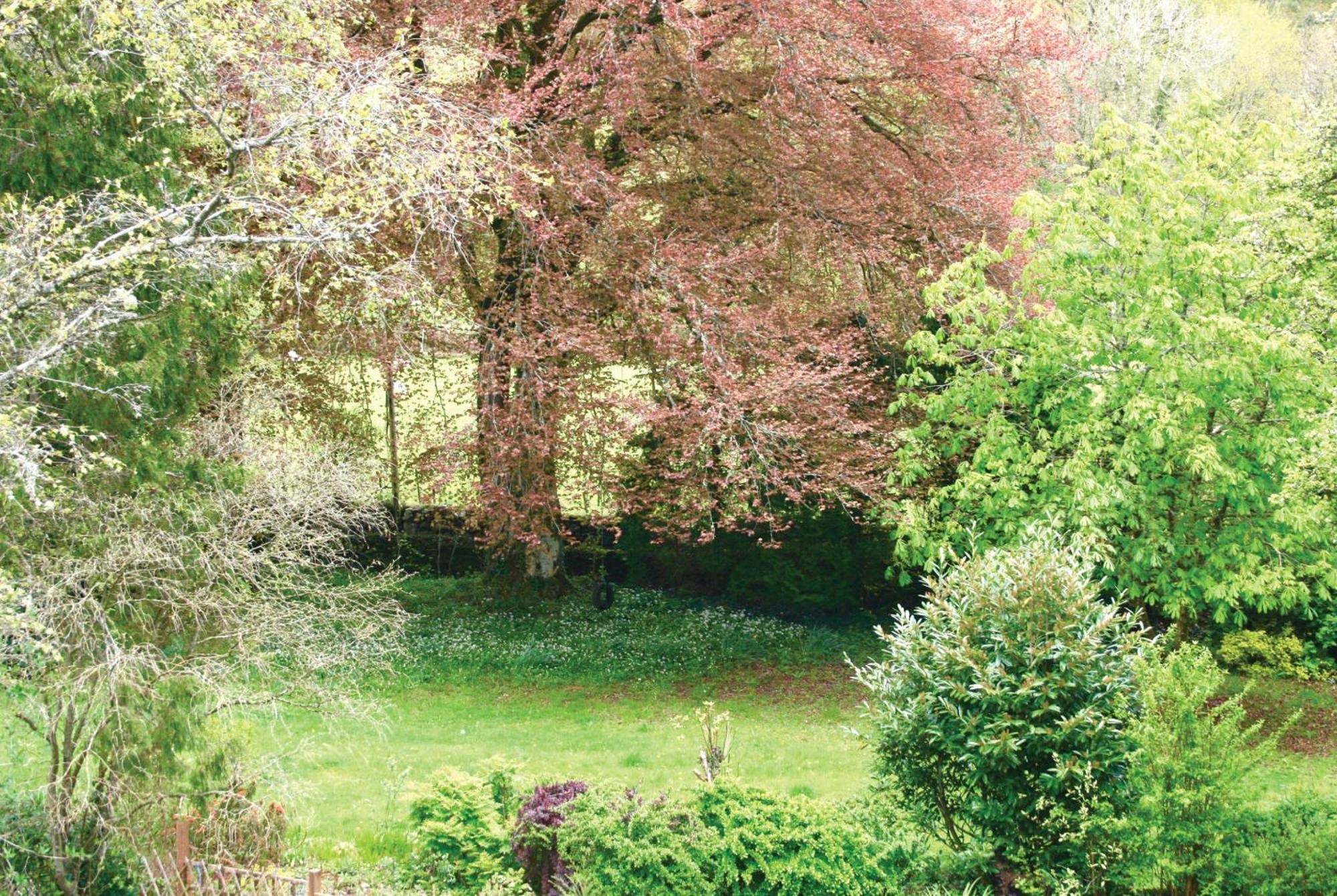 Afon Rhaiadr Country House ดอลเกซเซย์ ภายนอก รูปภาพ