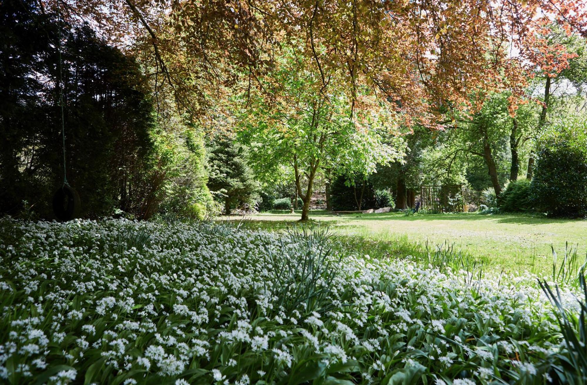 Afon Rhaiadr Country House ดอลเกซเซย์ ภายนอก รูปภาพ