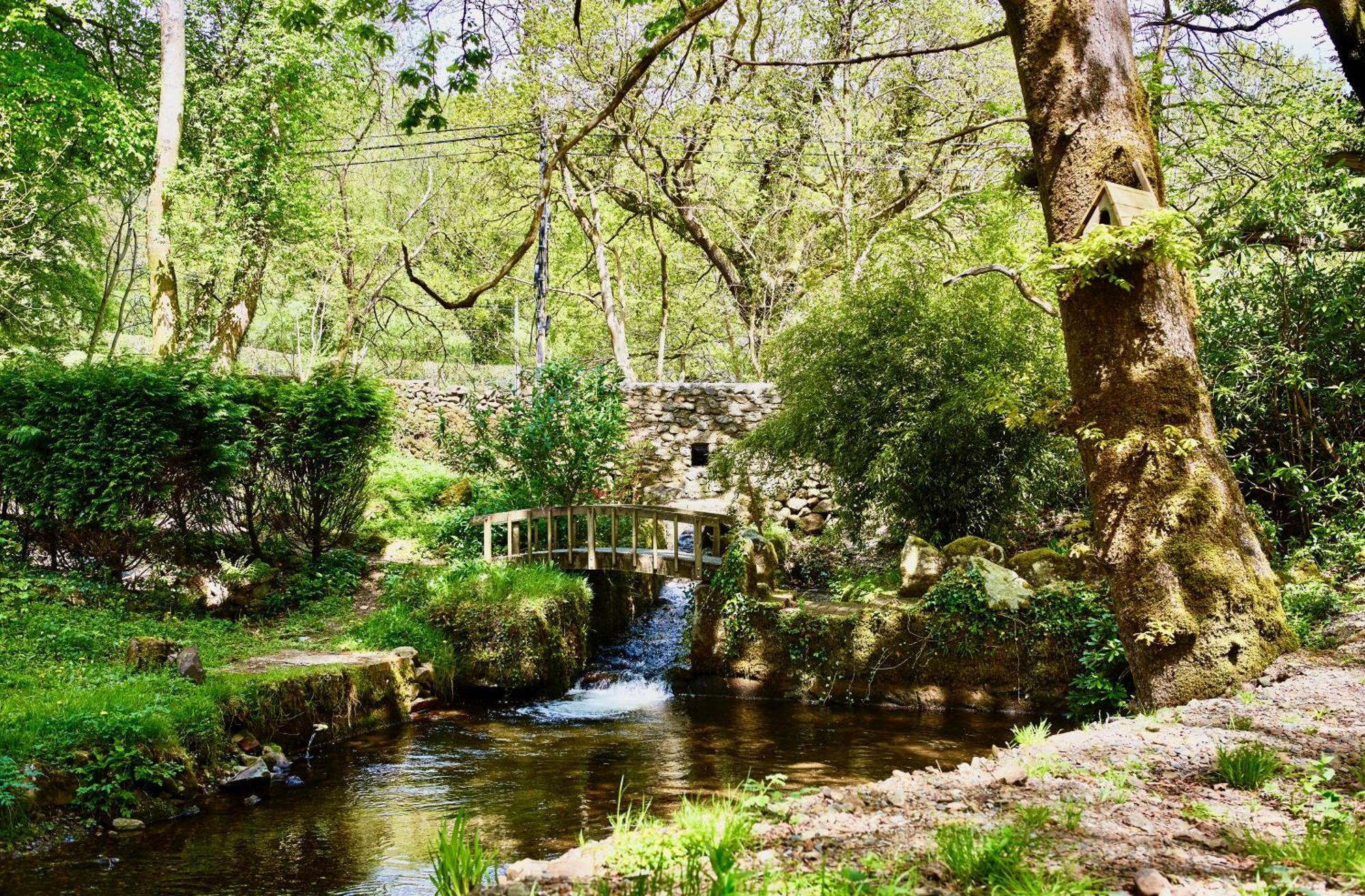Afon Rhaiadr Country House ดอลเกซเซย์ ภายนอก รูปภาพ